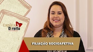 Explica Direito Filiação Socioafetiva  2019 [upl. by Blainey]