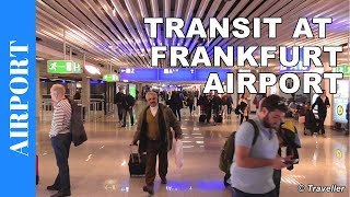 TRANSIT WALK AT FRANKFURT Airport FRA Terminal 1  Connection Flight Transfer Arriving amp Departing [upl. by Magree984]